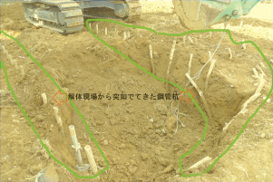 実際の調査の様子