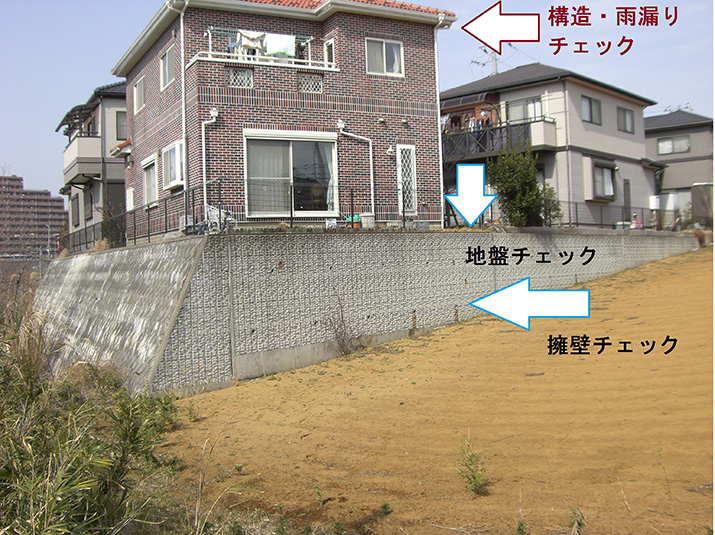 地盤チェック見本
